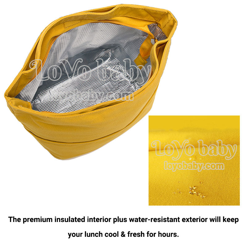 aesthetic canvas collapsible lunch bag tote is insulated and wipeable