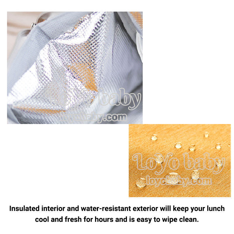 spacious tall aesthetic lunch tote for women to work insulated and wipeable